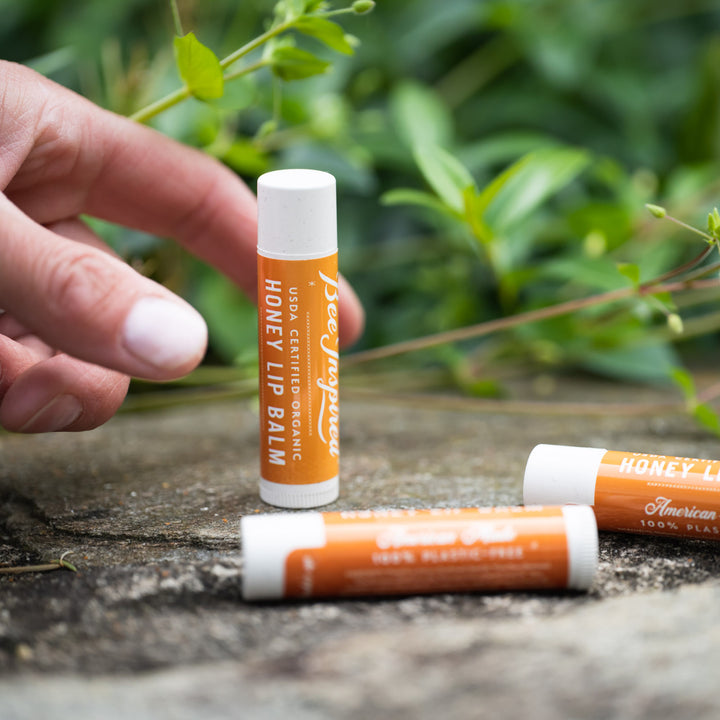 Plastic-Free Honey Lip Balm Display - Lip Balm Included