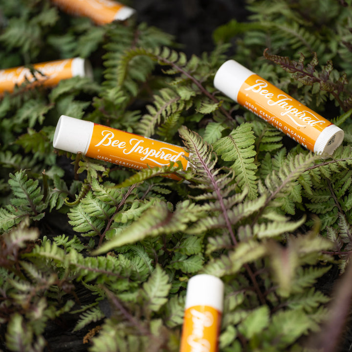 Plastic-Free Honey Lip Balm Display - Lip Balm Included